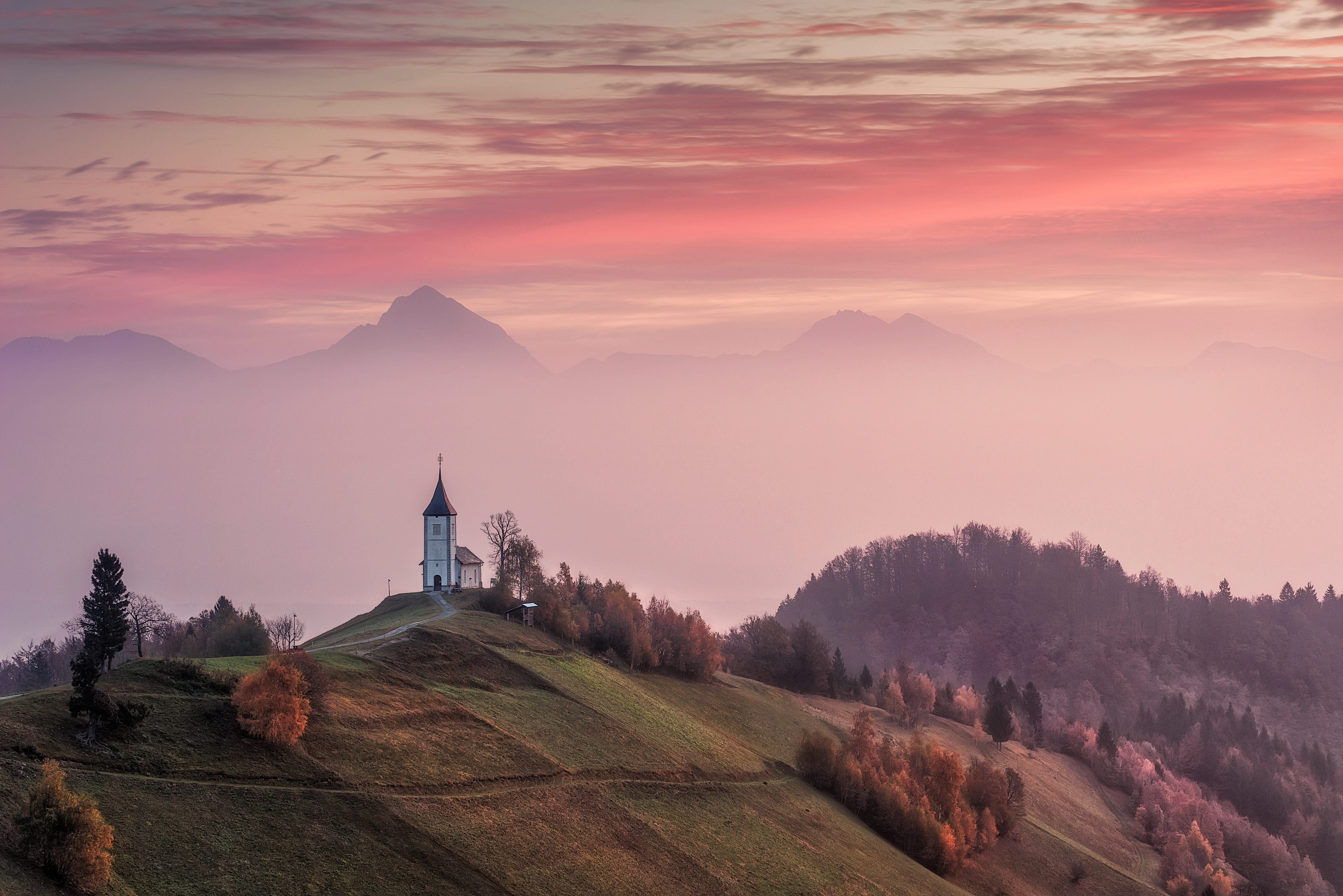 Jamnik, foto: Anton Calpagiu, Shutterstock